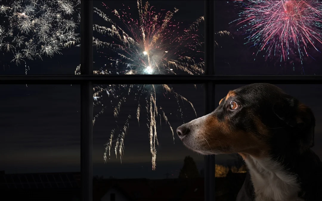 È arrivato Capodanno. Così… de botto!